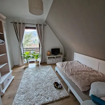 Haus Schwarzwald Koenigin Ferienhaus