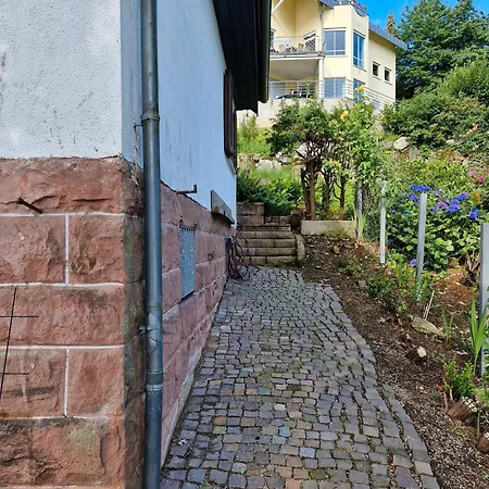 Haus Schwarzwald Koenigin *