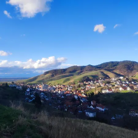 Ferienhaus Haus Schwarzwald Koenigin *