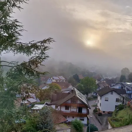 Ferienhaus Haus Schwarzwald Koenigin