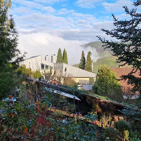 Haus Schwarzwald Koenigin Ferienhaus